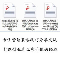 整合營(yíng)銷(xiāo)策略 從策劃到執(zhí)行的實(shí)戰(zhàn)路徑與案例解析